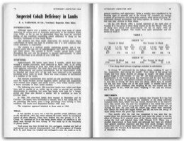 1964 Page 78 79